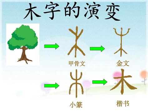 木的部首有哪些字|木字旁的字有哪些